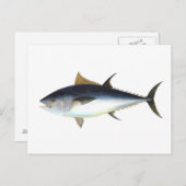 クロマグロ ポストカード (正面/裏面)