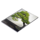 クロマツの盆栽 ノートブック (左側)
