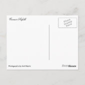 クロマーチャーチタワーセントピーター&セントポールノーフォーク ポストカード (裏面)