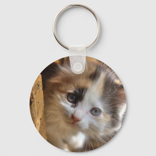 クロミカリコ子猫 キーホルダー (正面)