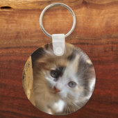 クロミカリコ子猫 キーホルダー (正面)