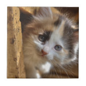 クロミカリコ子猫 タイル (正面)