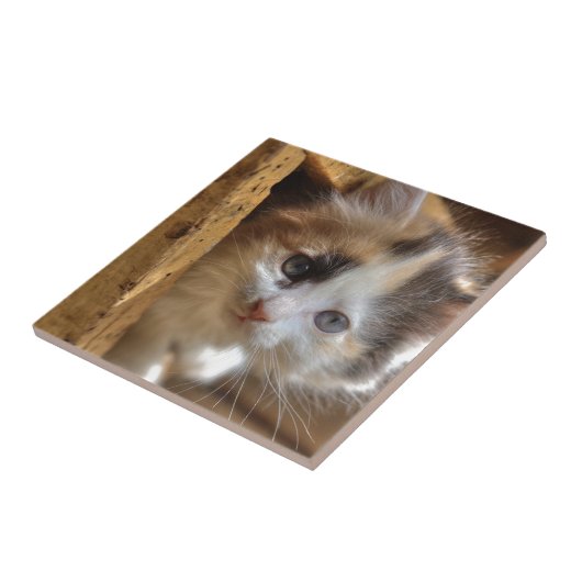 クロミカリコ子猫 タイル (側面)