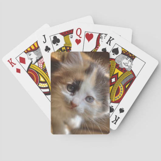 クロミカリコ子猫 トランプ (裏面)