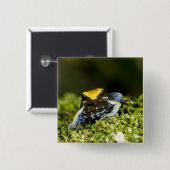 クロミミマンテラ, Mantella expectata, 2 缶バッジ (正面&裏面)