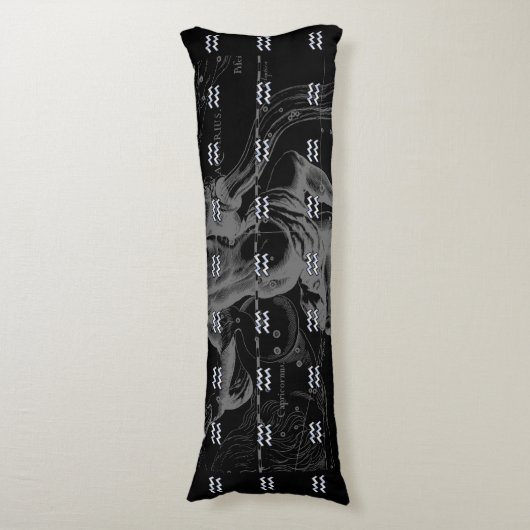 クロムはHeveliusのアクエリアスの(占星術の)十二宮図の印を好みます ボディピロー (正面縦)