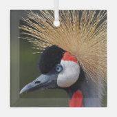 クロムクレーン ガラスオーナメント (正面)