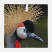 クロムクレーン ガラスオーナメント (裏面)