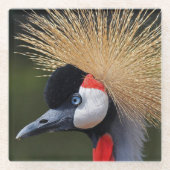 クロムクレーン ガラスコースター (正面)