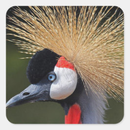 クロムクレーン スクエアシール