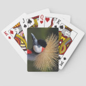 クロムクレーン トランプ (裏面)