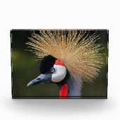 クロムクレーン フォトブロック (正面)