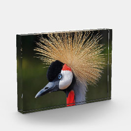 クロムクレーン フォトブロック