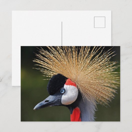 クロムクレーン ポストカード (正面/裏面)