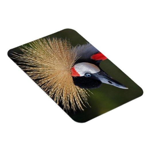 クロムクレーン マグネット (右側)