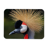 クロムクレーン マグネット (横)