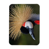 クロムクレーン マグネット (縦)