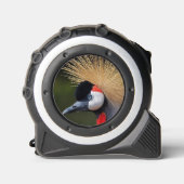 クロムクレーン メジャー (正面)