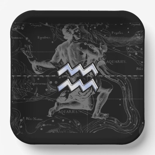 クロムスタイルアクエリアス〔占星術の〕十二宮図シンボルon Hevelius ペーパープレート (正面)