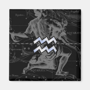 クロムスタイルアクエリアス〔占星術の〕十二宮図シンボルon Hevelius マグネット