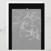 クロムスタイル射手座〔占星術の〕十二宮図サインオンヘベリウス (正面/裏面)