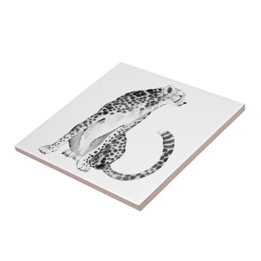 クロムチータ タイル (側面)