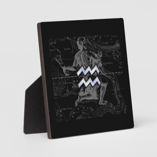 クロムライクアクエリアス〔占星術の〕十二宮図サインオンヘベリウス フォトプラーク (正面)