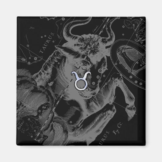 クロムライクトーラス〔占星術の〕十二宮図オンヘベリウスブラック マグネット (正面)