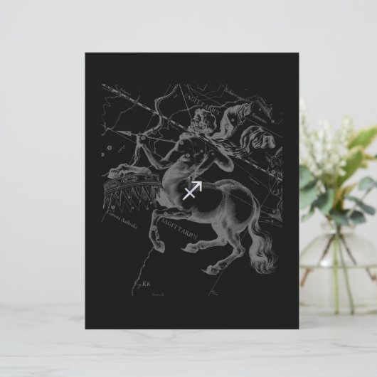 クロム射手座〔占星術の〕十二宮図サインヘベリウス1690 (スタンド正面)