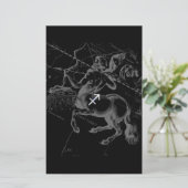 クロム射手座〔占星術の〕十二宮図サインヘベリウス1690 便箋 (スタンド正面)