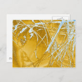 クロム織物 ポストカード (正面/裏面)