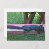 クロリス ポストカード (正面/裏面)