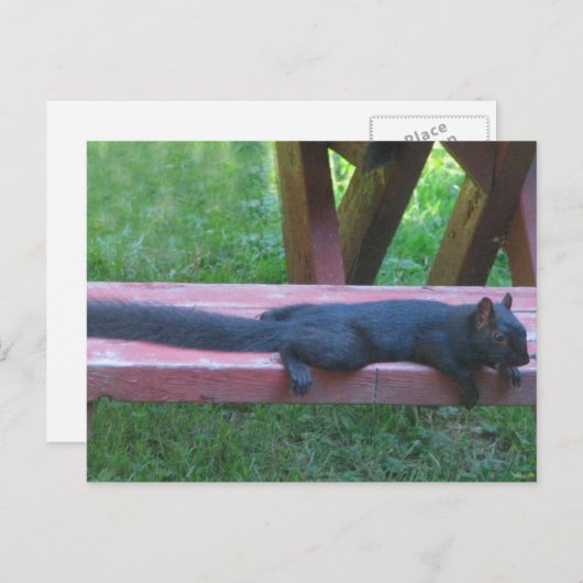 クロリス ポストカード (正面/裏面)