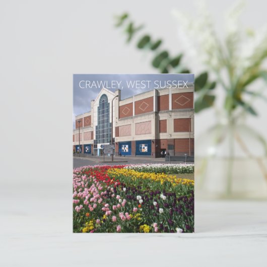 クロリー ポストカード (スタンド正面)