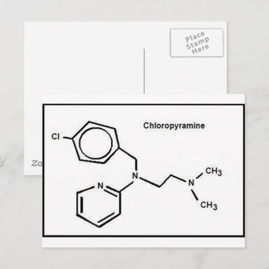クロロピラミン ポストカード (正面/裏面)