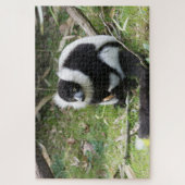 クロワッサンキツネザル:野生動物の写真 ジグソーパズル (縦)
