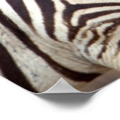 クローガー国立公園の Plains+Zebra ポスター (角)