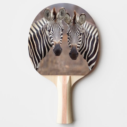 クローガー国立公園の Plains Zebra 卓球ラケット (正面)