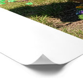 クロークドツリーバードハウス ポスター (角)