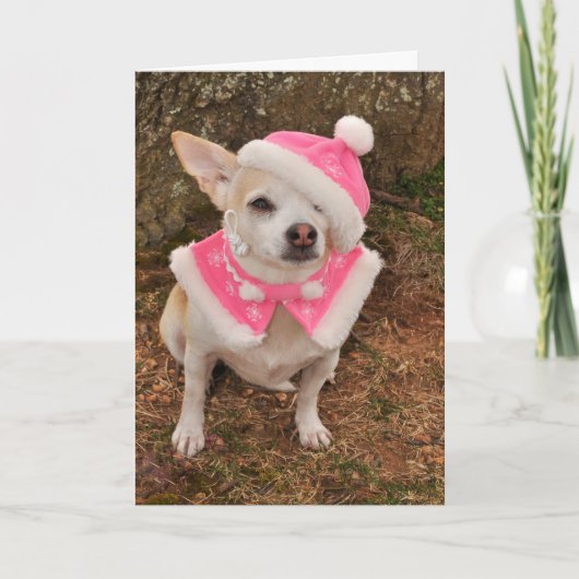 クロース夫人のクリスマスカード シーズンカード (正面)