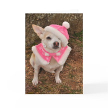 クロース夫人のクリスマスカード