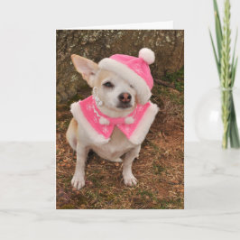 クロース夫人のクリスマスカード シーズンカード