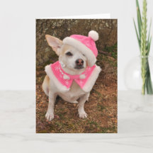 クロース夫人のクリスマスカード