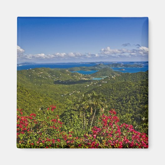 クロース湾の風光明媚なセント・ジョン米国ヴァージン マグネット (正面)