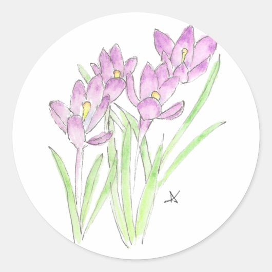 クロース ラウンドシール (正面)