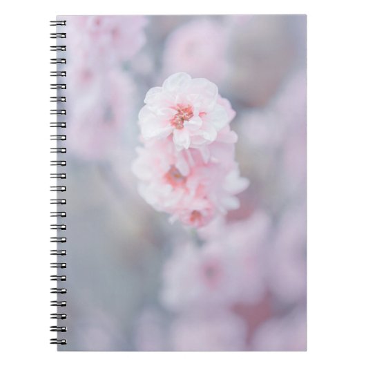 クローズアップさくらんぼのピンク色の花 ノートブック (正面)