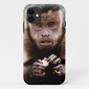 クローズアップされたクロカビフタオマキザル iPhone 11 ケース