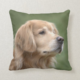 クローズアップのゴールデン・リトリーバー クッション