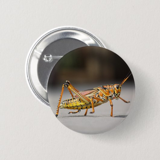 クローズアップの美しく多彩なバッタ 缶バッジ (正面&裏面)