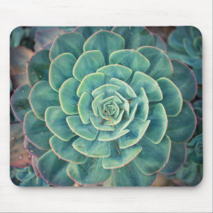 クローズアップのSucculent マウスパッド